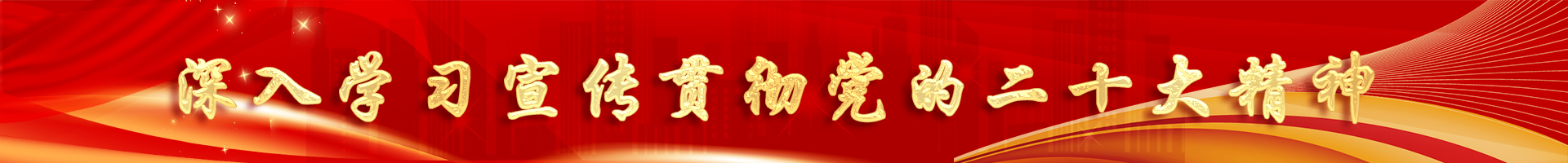 喜迎二十大，奋进新征程 